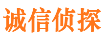 淳化诚信私家侦探公司